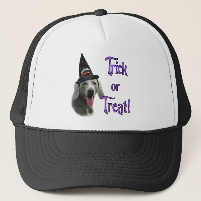 Weimaraner Trick Keps (Framsida)