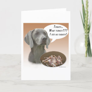 Weimaraner Turkiet Kort
