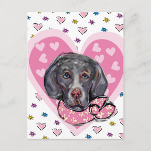 Weimaraner-Valentin Helg Vykort