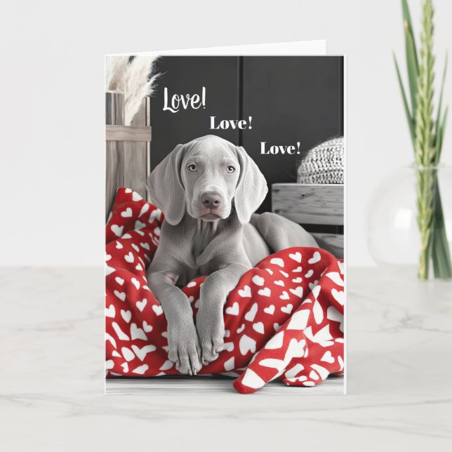 Weimaraner Valentine Card Tack Kort (Framsida)