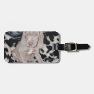 Weimaraner valp bagagebricka