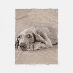 Weimaraner valp fleecefilt