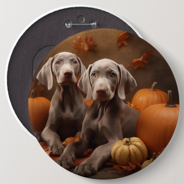 Weimaraner Valp Höstglädje Pumpa Knapp (Framsida & baksida)