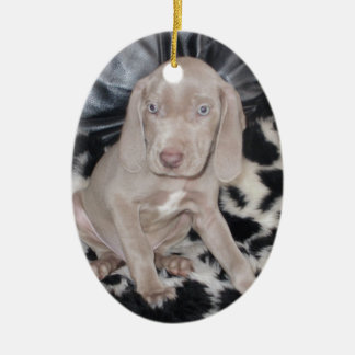 Weimaraner valp julgransprydnad keramik
