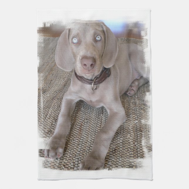 Weimaraner valpkökshandduk kökshandduk (Vertikal)