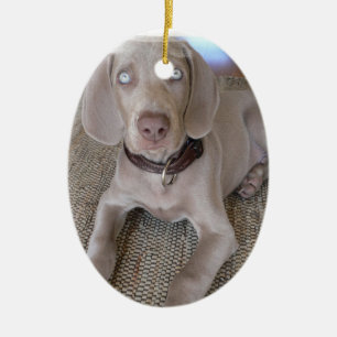 Weimaraner valpprydnad julgransprydnad keramik
