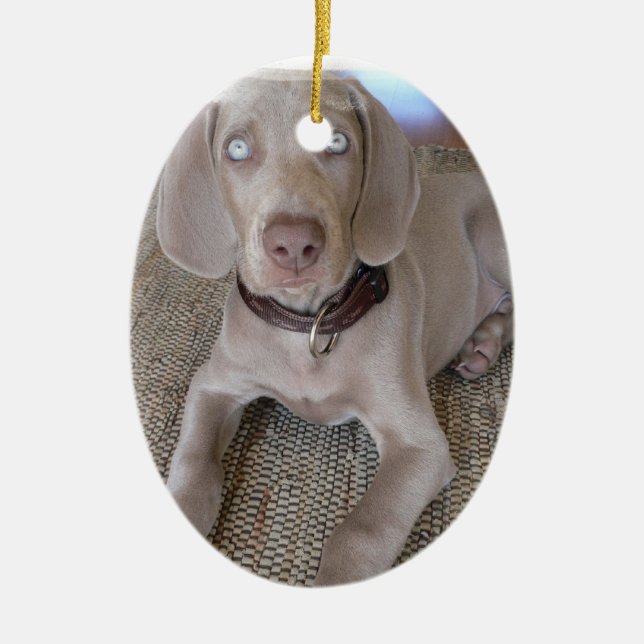 Weimaraner valpprydnad julgransprydnad keramik (Framsidan)