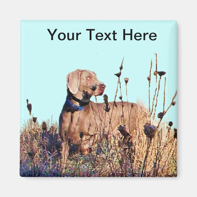 Weimaraner vid hämtning magnet (Framsidan)