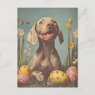 Weimaraner Vintage Påsk Vykort
