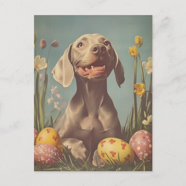 Weimaraner Vintage Påsk Vykort (Framsida)