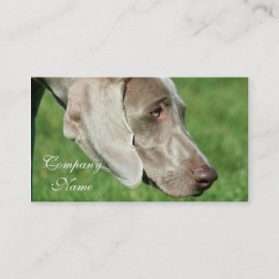Weimaraner visitkortar visitkort