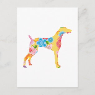 Weimaraner Vykort