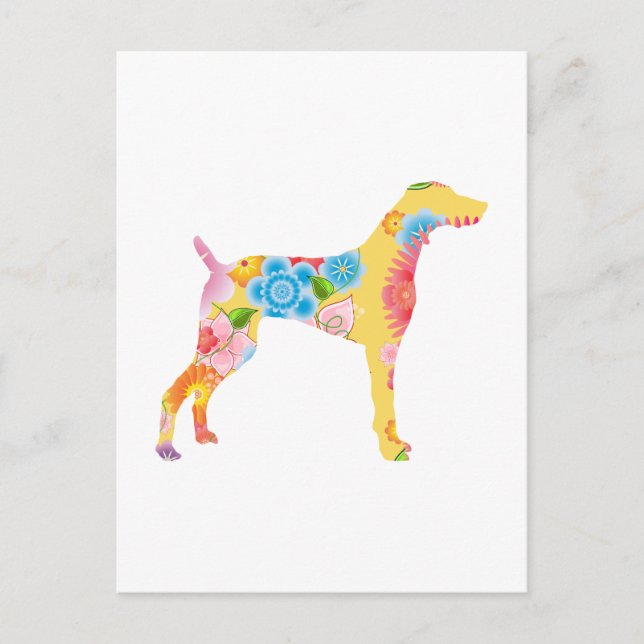 Weimaraner Vykort (Framsida)