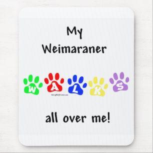 Weimaraner Walks Musmatta