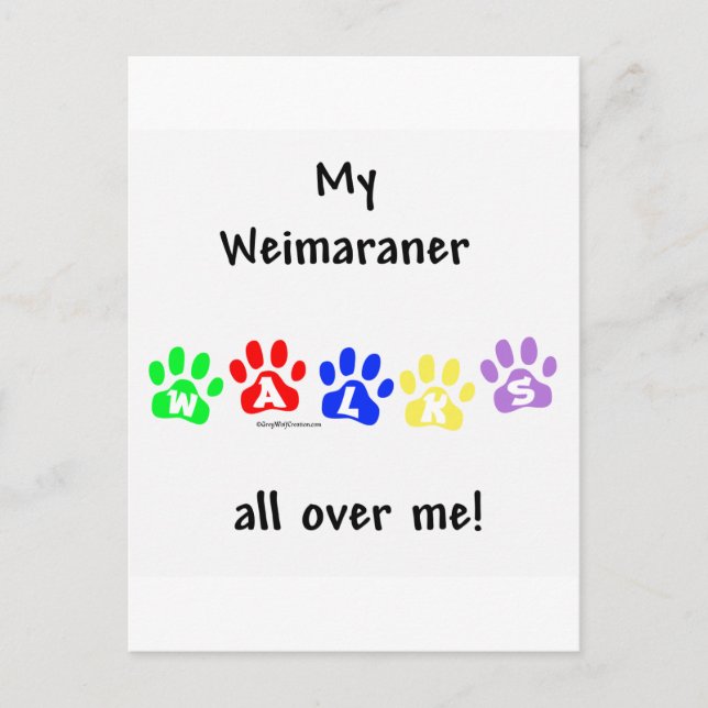 Weimaraner Walks Vykort (Framsida)