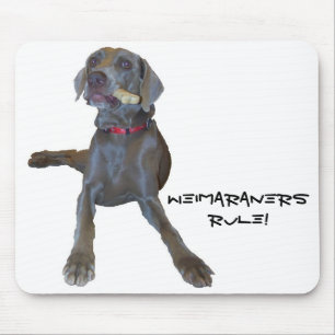 Weimaraners härskar!  musen vadderar musmatta