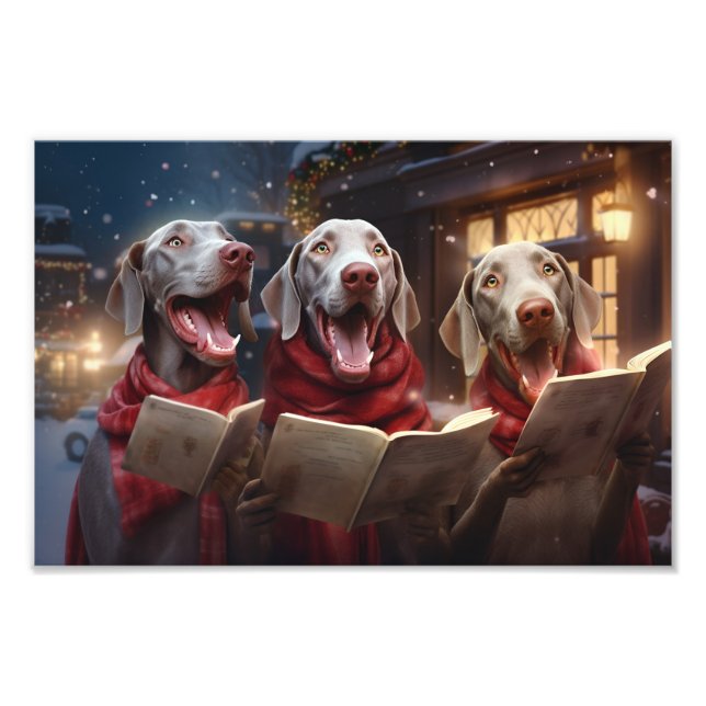 Weimaraners jul Caroling Festive Helgdag Fototryck (Framsidan)