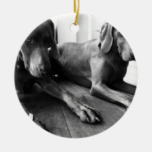 Weimaraners Julgransprydnad Keramik