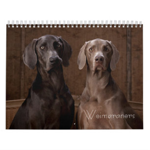 Weimaraners Kalender