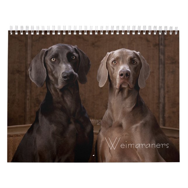 Weimaraners Kalender (Omslag)