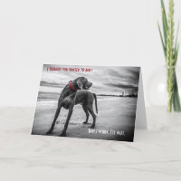 Weimaraners roliga födelsedagskort