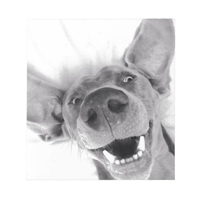 Weimeraner Anteckningsblock (Framsida)