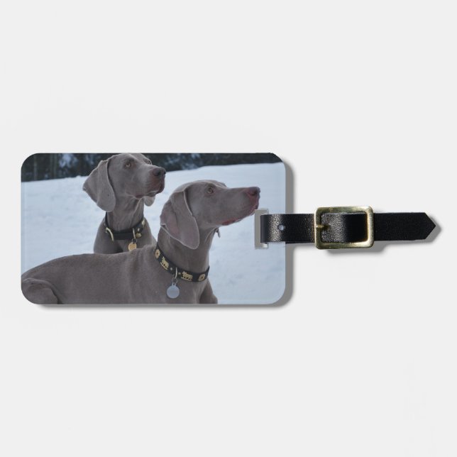 Weimeraner i snön bagagebricka (Horisontell Framsida)