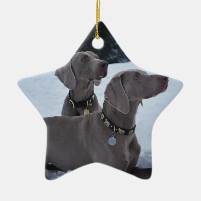 Weimeraner i snön julgransprydnad keramik (Framsidan)
