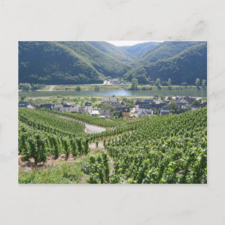 Weinberge Vykort