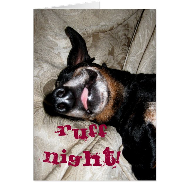 Weiner Hund Hälsningskort (Framsidan)