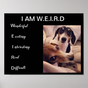 Weiner hundar poster