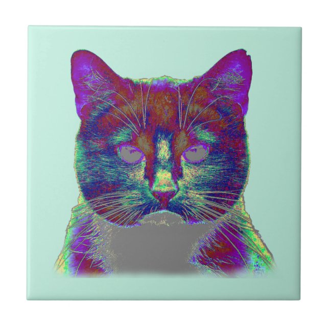 Weirdy Cat Kakelplatta (Framsidan)