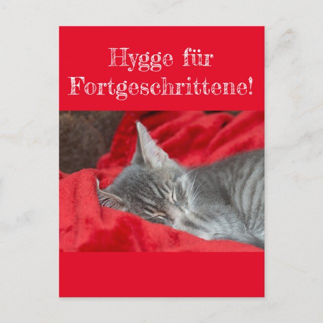 Weisheiten&Humor Hygge ..! Katze schläft auf rot Vykort (Framsida)
