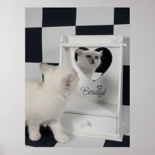 Weiße Katze vorm Spiegel Poster
