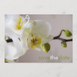 Weiße Orchidee ・ Spara datum Karte Datumet