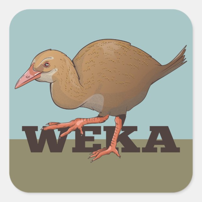 Weka New Zealand Bird Fyrkantigt Klistermärke (Framsida)