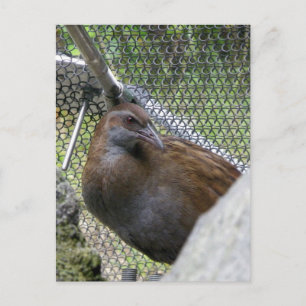 Weka Vykort