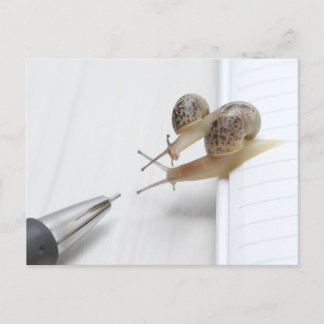 We'll help you study vykort