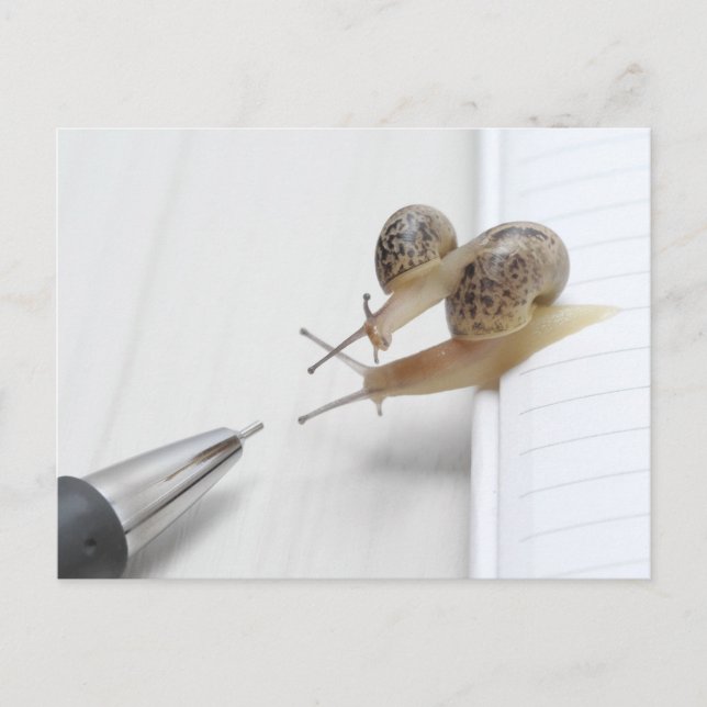 We'll help you study vykort (Framsida)