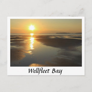 Wellavy Bay sunset Cape Cod Vykort