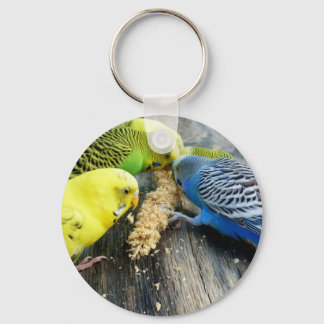 Wellensittiche (Melopsittacus undulatus) Nyckelring