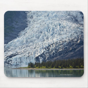 Wellesley glaciär i högskolafjorden musmatta