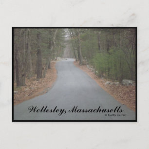 Wellesley, Massachusetts Postcard Vykort