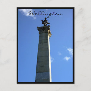 Wellingtonmonumentet Seddon Vykort