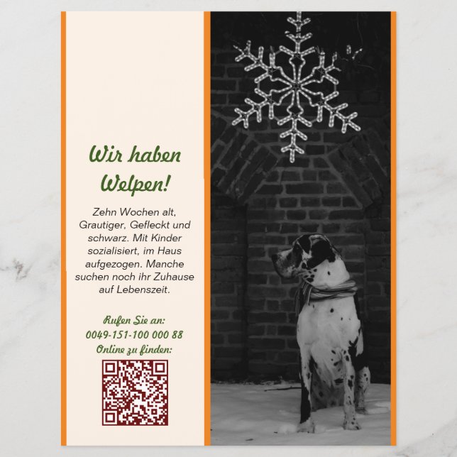 Welpe zum Verkauf Flyer Vorlagen (Framsidan)