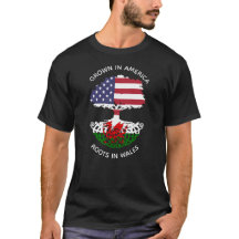 Welsh-American Roots in Wales Celtic Träd