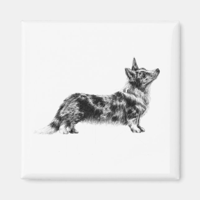 Welsh Cardigan Corgi magnet (Framsidan)