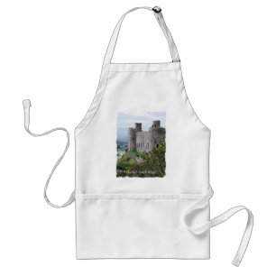 WELSH CASTLES FÖRKLÄDE