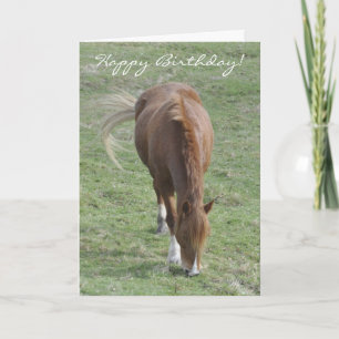 Welsh cob-födelsedagskort kort