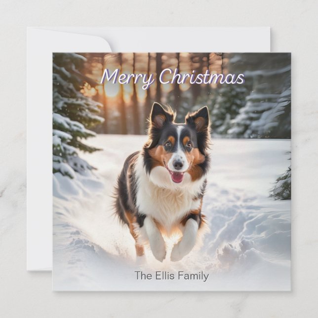 Welsh Collie Hund Snö Akvarell God Jul Julkort (Framsida)
